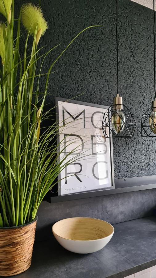 Ferienwohnung, Monteurwohnung, Unterkunft Elise Магдебург Екстериор снимка